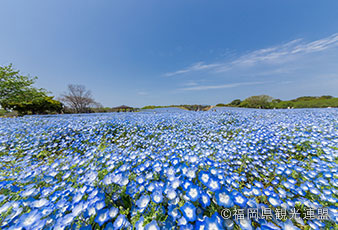 海之中道海滨公园