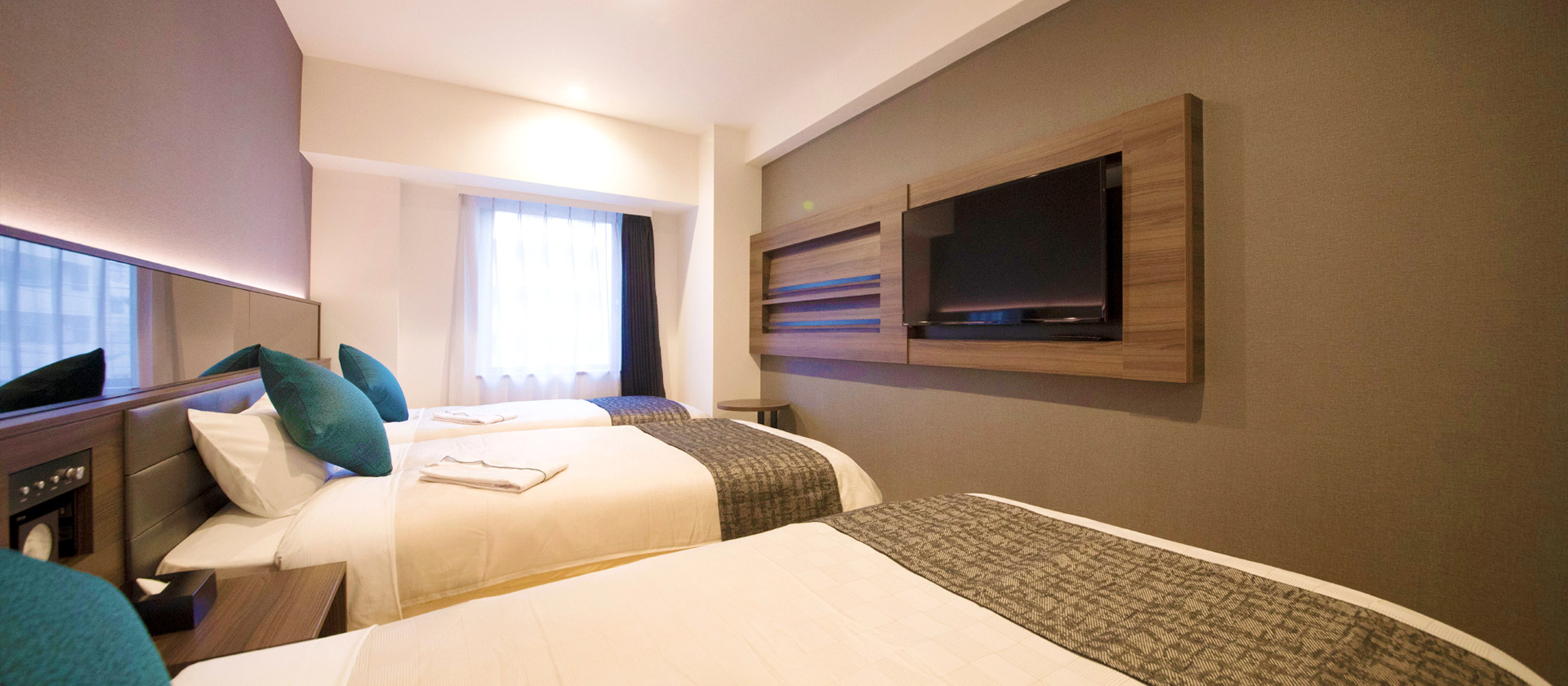 モデレートツインプラス